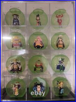 One Piece Fruit Full Complete Set 101 Types In Total